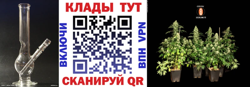 Галлюциногенные грибы Череповец
