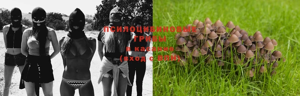 ПСИЛОЦИБИНОВЫЕ ГРИБЫ Волоколамск