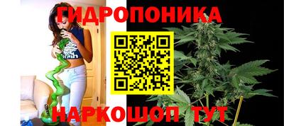 ПСИЛОЦИБИНОВЫЕ ГРИБЫ Нарткала